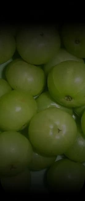 Amla